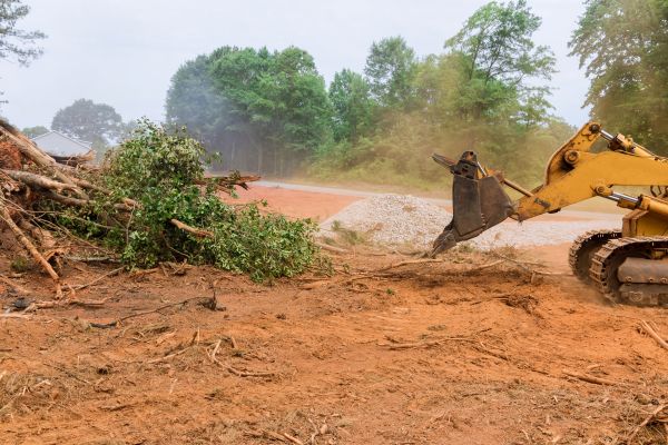 Ground Clearing in Medina