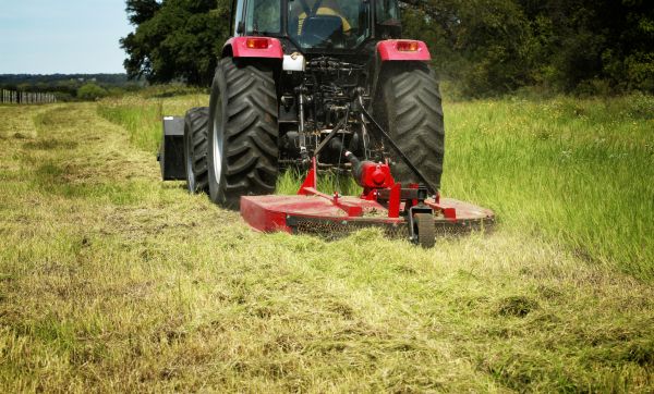 Brush Clearing Service in Medina