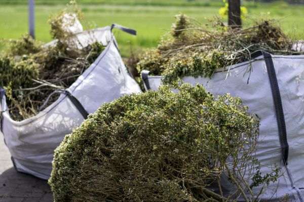 Cost of Bushes Clearing in Medina
