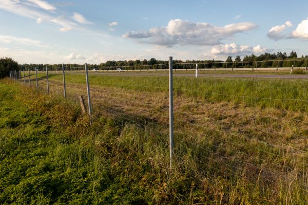 Property Line Clearing in Medina