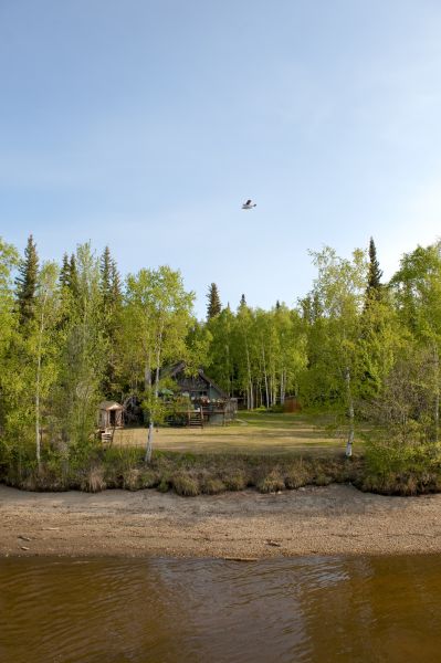 Waterfront Land Clearing in Medina