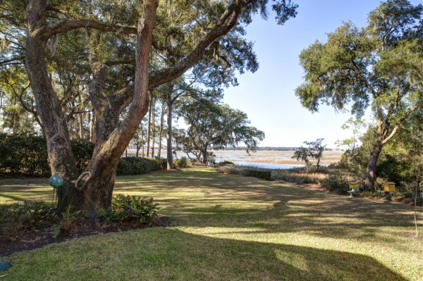 Lakefront Property Clearing in Medina