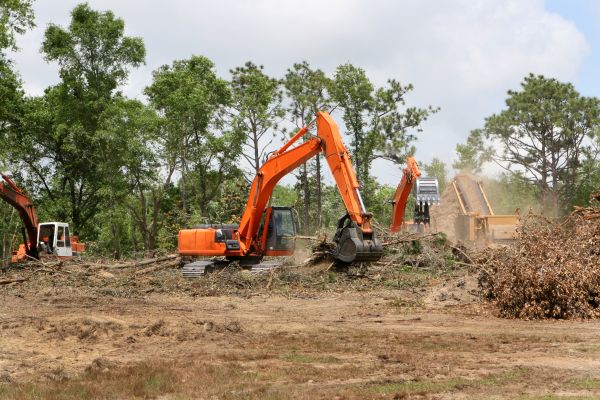 Commercial Lot Clearing in Medina
