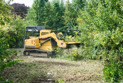 Building Site Clearing