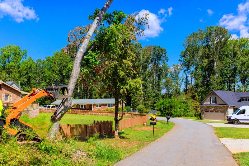 Rock Removal Operation