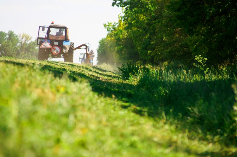 Pasture Clearing