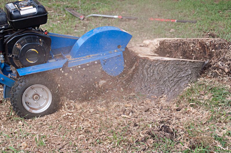 Stump Grinding Experts